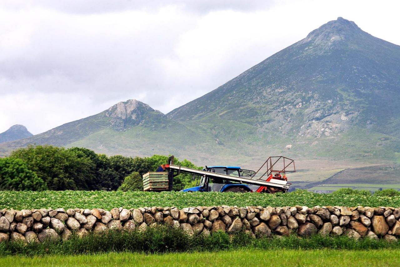 Ballykeel Farm, Mourne Mountains Ballymartin Exterior foto