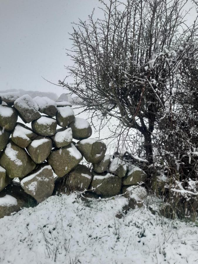 Ballykeel Farm, Mourne Mountains Ballymartin Exterior foto