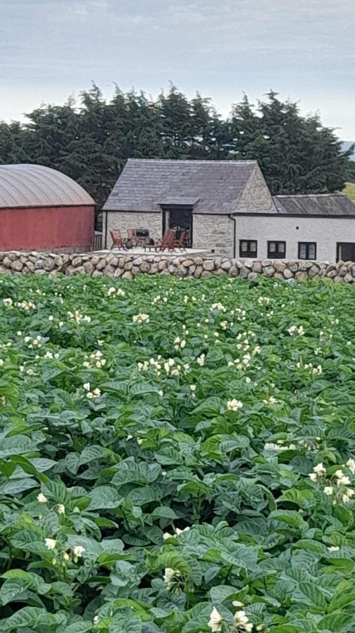 Ballykeel Farm, Mourne Mountains Ballymartin Exterior foto